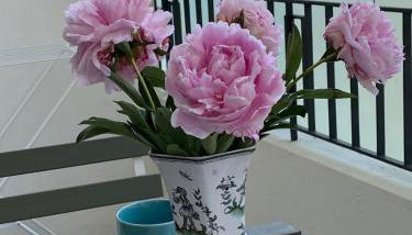 Joli studio calme et central - Foto 3