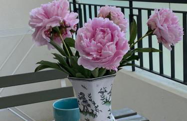 Joli studio calme et central - Foto 3