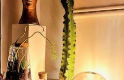 Maison de Caractère 8 pers - Jardin - - Foto 26