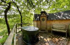 Chestnut Tree House with Hot tub & Sauna - Foto 1