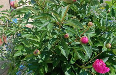 Appartement moderne et bohème - Foto 25