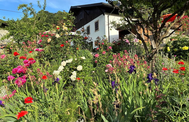 La Petite Grange - Photo 29