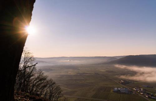 Fewo Rieslingglück - Urlaub im Wein- und Ferienort Bekond - Foto 10