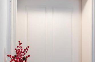 Deus silva - Photo 24