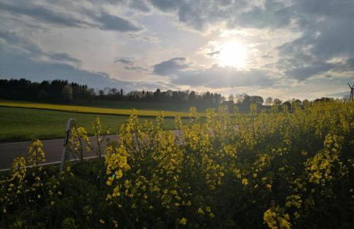 Chalet in Reinskopf With Fireplace - Foto 40
