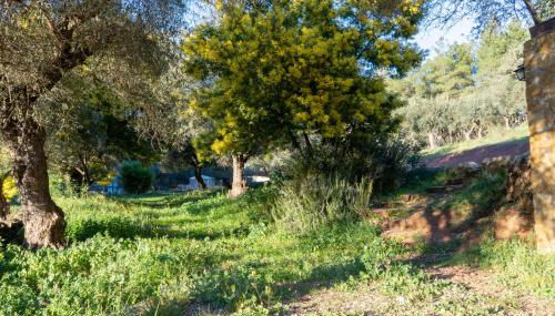 Casas Rurales Las Cuevas El Rincón - Foto 2, Garden