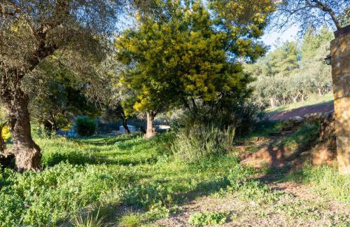 Casas Rurales Las Cuevas El Rincón - Foto 2