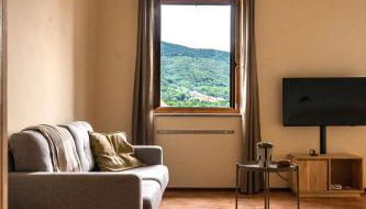 Studio VERDE - Foto 5