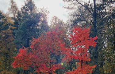 Our Log House in the woods - Photo 39
