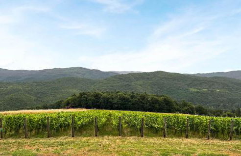 Beautiful Home In Bibbiena With Wifi - Foto 10