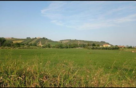 Villa Elodie - Foto 53