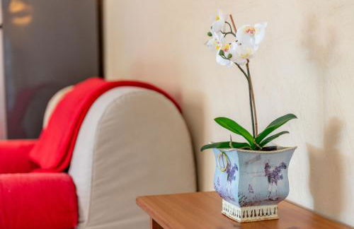 Apartamento Llimonera - Foto 13