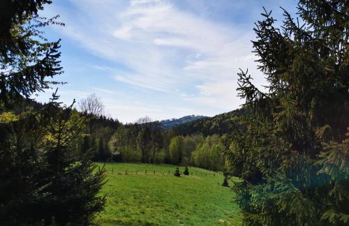 Wójtówka 16 - Foto 7