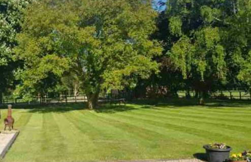 The Paddocks - Photo 8