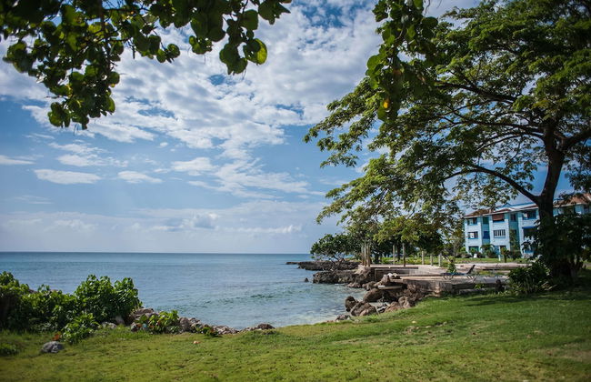 Point Village Studios and Suites - Photo 52