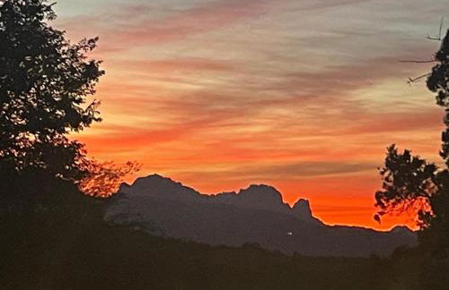 La tartaruga - Photo 29