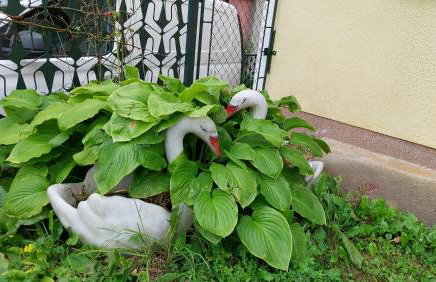 Kuća za odmor ,Erdelj 21 B - Foto 36