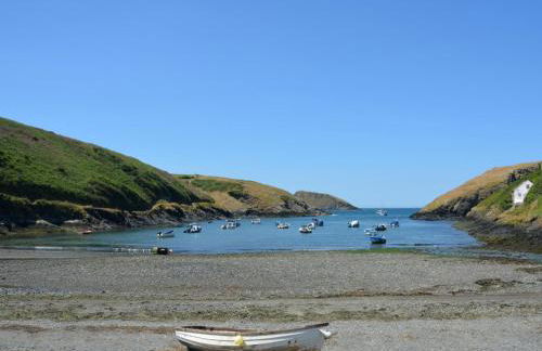 1 Bed in St Davids 62569 - Foto 23