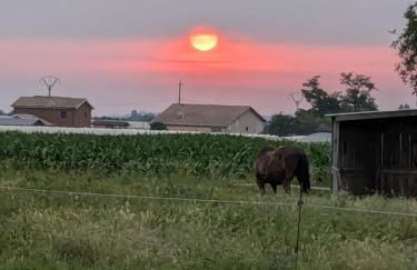 Le Petit chalet - 2 étoiles au classement tourisme - Foto 16
