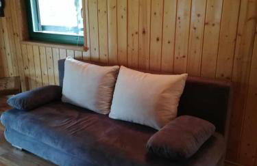 Domek letniskowy Pod brzozami Pszczew - Foto 20