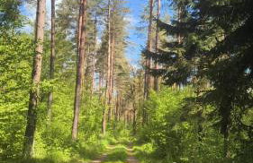 Agroturystyka Żółta Ostoja - Foto 32