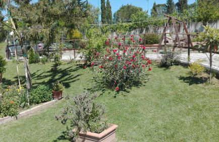 Agriturismo Collelungo di Maremma - Foto 46