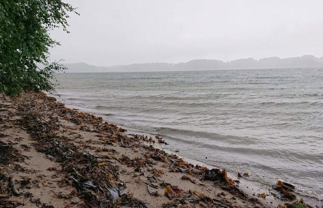 6 Person Holiday Park Home in Middelfart - Foto 65