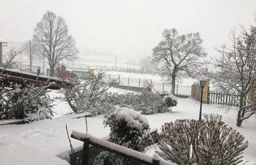 Tenuta Montebello - Foto 40