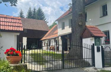 Dom Pod Dębem Agroturystyka - Foto 13