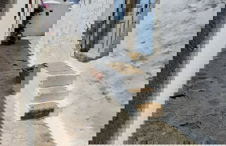 Anoi Traditional House Patmos Architectural Charm - Foto 43