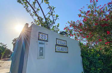 Villa Gladyr - Foto 42