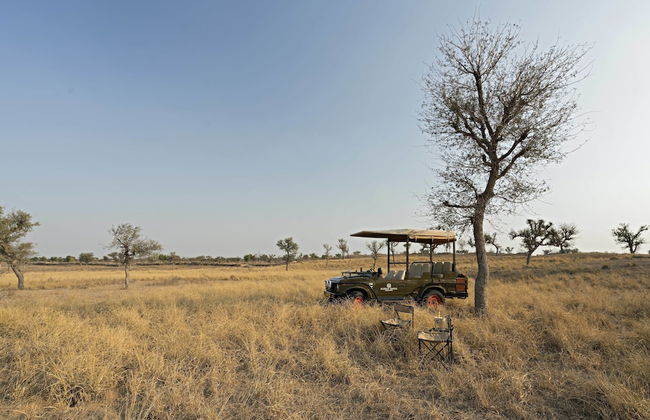 Alsisar Mahal - A Heritage Hotel - Foto 28