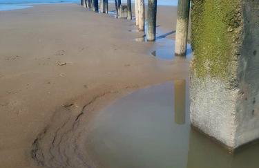 Ocean Drive Deluxe Apartment with complimentary Day Time Beach hut - Foto 68