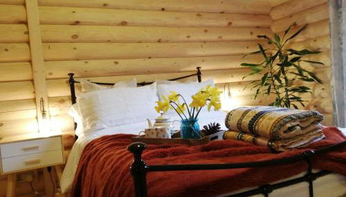 Ravenglass Log Cabin - Foto 4