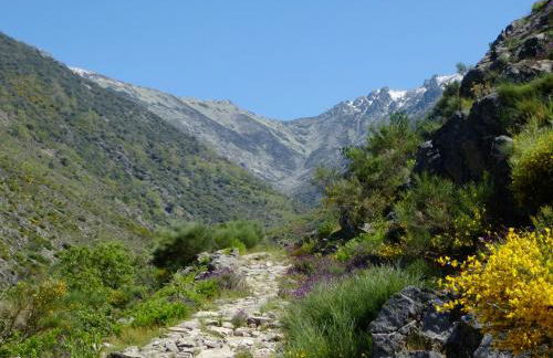 Apartamentos Rurales Entre Fuentes - Foto 44