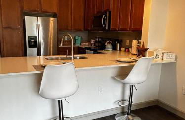 Distinct Houston Luxury Downtown - Foto 9