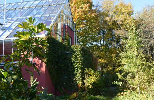 Glashaus Andres Fünf-Sterne-Ferienhaus - Foto 49