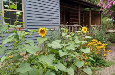 Restored1850s log cabin, with gazebo and gardens! 1 mile to downtown Weaverville - Foto 3