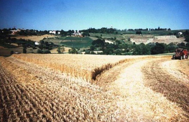 Belvilla by OYO Campo Quattro - Foto 38