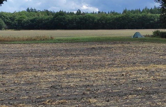 Lovely Holiday Home in Voorhuizen With Garden - Photo 38