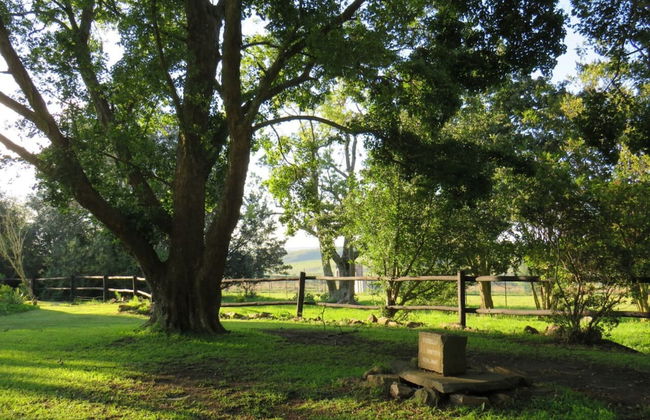 Anford Country House - Photo 16
