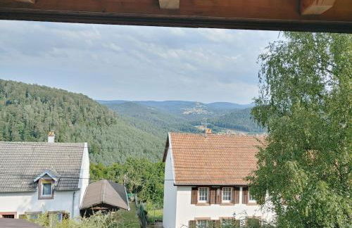 Residenz Dabo Panorama in den Vogesen, 5 Zimmer, modern und großzügig, 2 Balkons, Terrasse, Garten - Foto 63