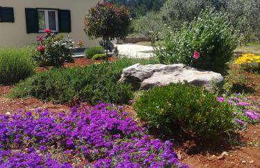 Happy garden house - Photo 26