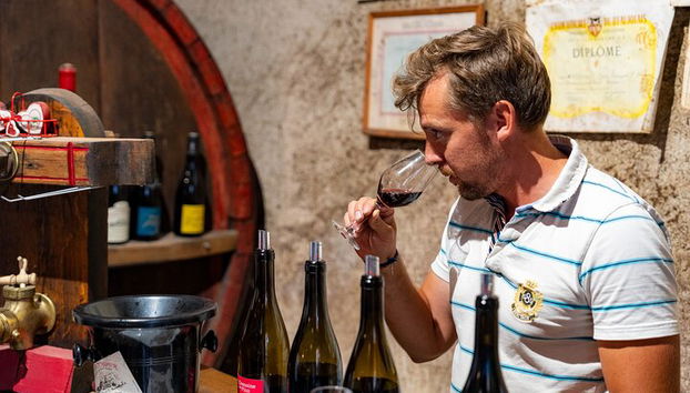 Recorrido privado de un día completo por los viñedos de Borgoña en un Land Rover clásico (Lyon) - Foto 5, Espere conocer a los productores de vino y degustar su producción.