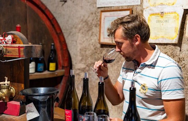 Recorrido privado de un día completo por los viñedos de Borgoña en un Land Rover clásico (Lyon) - Foto 5