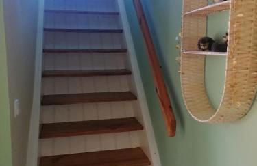 Bergwitzer Traumhaus - Foto 17