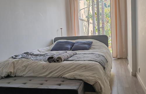 Jardin Briand - Foto 2