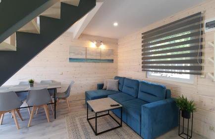 Ekosfera Piława Apartamenty z podgrzewanym basenem - Foto 10