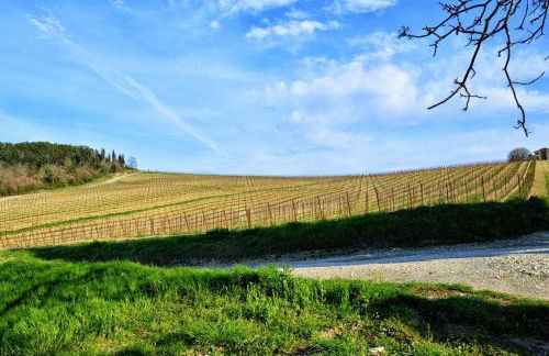 Appartamenti Tortorella - Foto 74