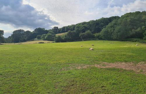 Shepherd's Hut in heart of the Brecon Beacons - Photo 33